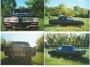 Plymouth Valiant 100