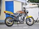 Мотоцикл Honda CB600F Hornet